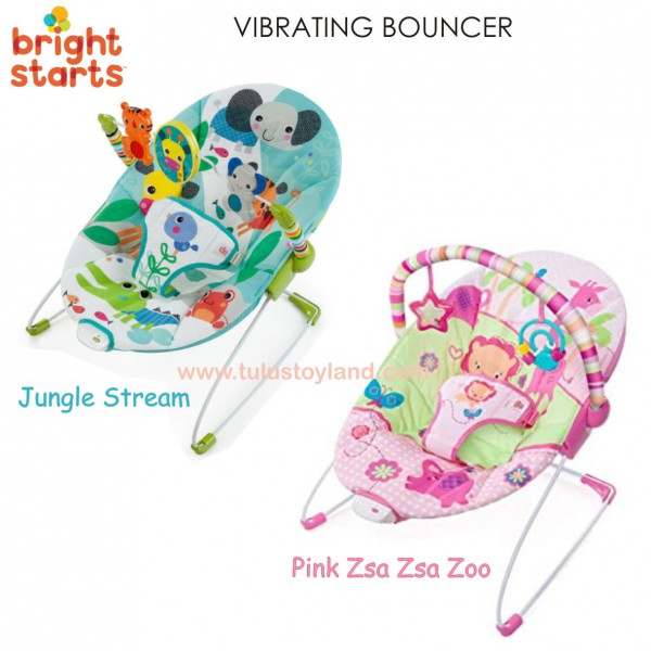 Bright Starts Vibrating Baby Bouncer