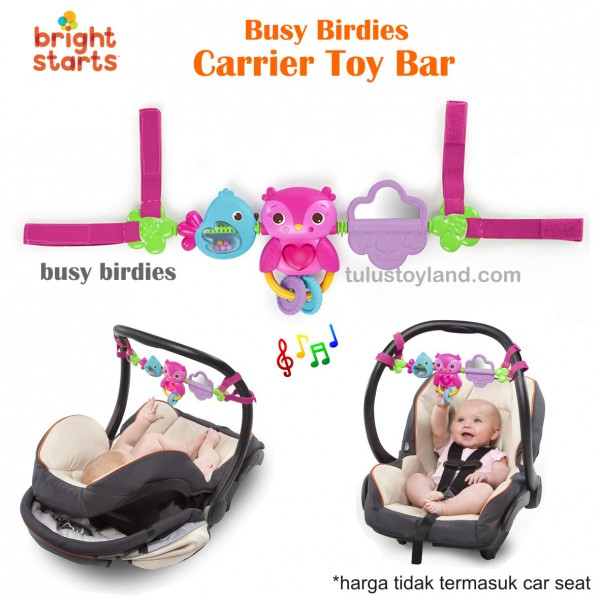 bright starts car seat