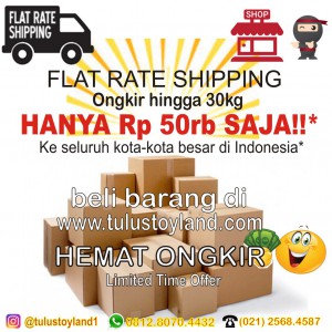 Promo Ninja Flat Ongkir